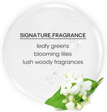 Charger l'image dans la galerie, Sérum Brillance Anti-Frisottis Recovery Complex de Bain de Terre 100 ml