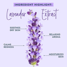 Load image into Gallery viewer, VOESH Pedi In A Box 4 Step (Lavender Relieve)