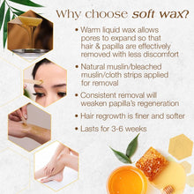 Load image into Gallery viewer, GIGI 0330 All Purpose Honee Wax, 14-Ounce