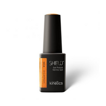 Charger l'image dans la galerie, Kinetics 544 Shield Soul Treat 15 ml