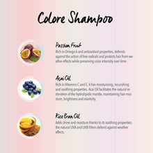 Load image into Gallery viewer, Kaaral Natura Purify Colore Protection Shampoo 300ML
