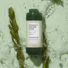 Load image into Gallery viewer, Voesh Shower Empower Duo, Shower Filter &amp; Sugar Scrub, Rainforest Mist
