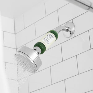 Voesh Shower Empower Duo, Shower Filter & Sugar Scrub, Rainforest Mist