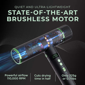 MINT HUMMINGBIRD IONIC BLDC DRYER