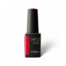 Load image into Gallery viewer, KINETICS 207 SHIELD DRESS TO IMPRESS 11ML
