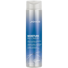 Load image into Gallery viewer, Joico Moisture Recovery Shampoo 10.1 Oz
