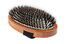 Charger l&#39;image dans la galerie, Brosses pour animaux de compagnie en nylon et poils de sanglier, manche en bambou et paume moyenne

