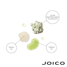 Load image into Gallery viewer, JOICO BLONDE LIFE BLONDE STRONG DETANGLER 200ML
